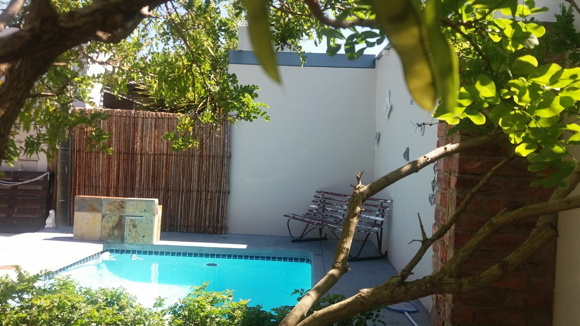 פורט אליזבת' Guesthouse On Irvine מראה חיצוני תמונה